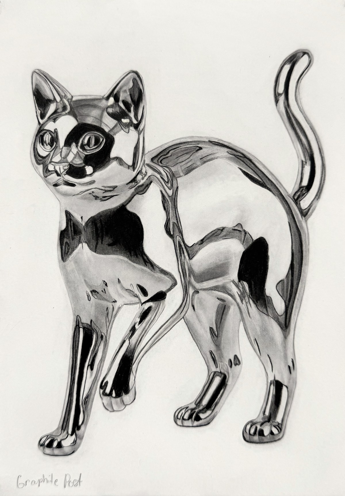 Cat, graphite drawing on paper