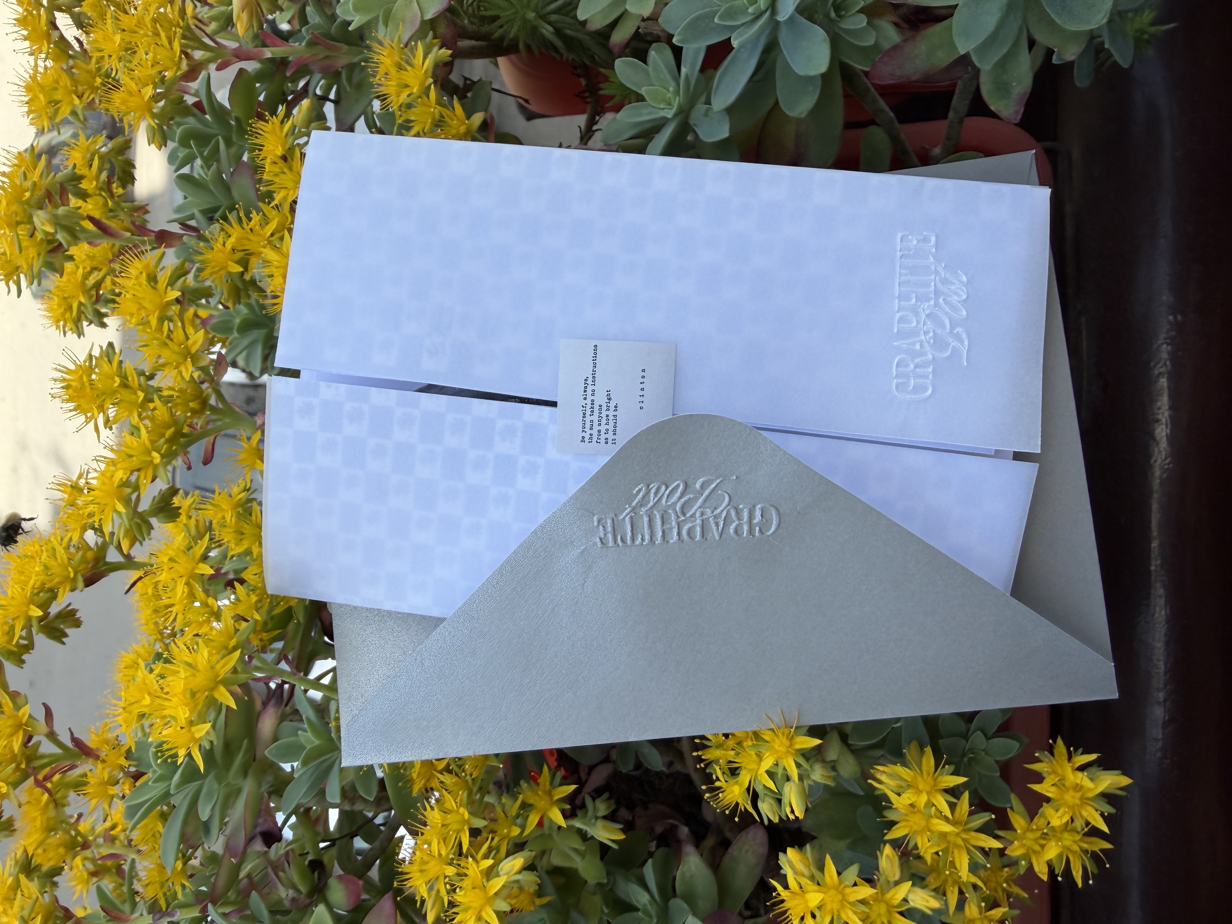 Graphite Post package among yellow flowers outdoors