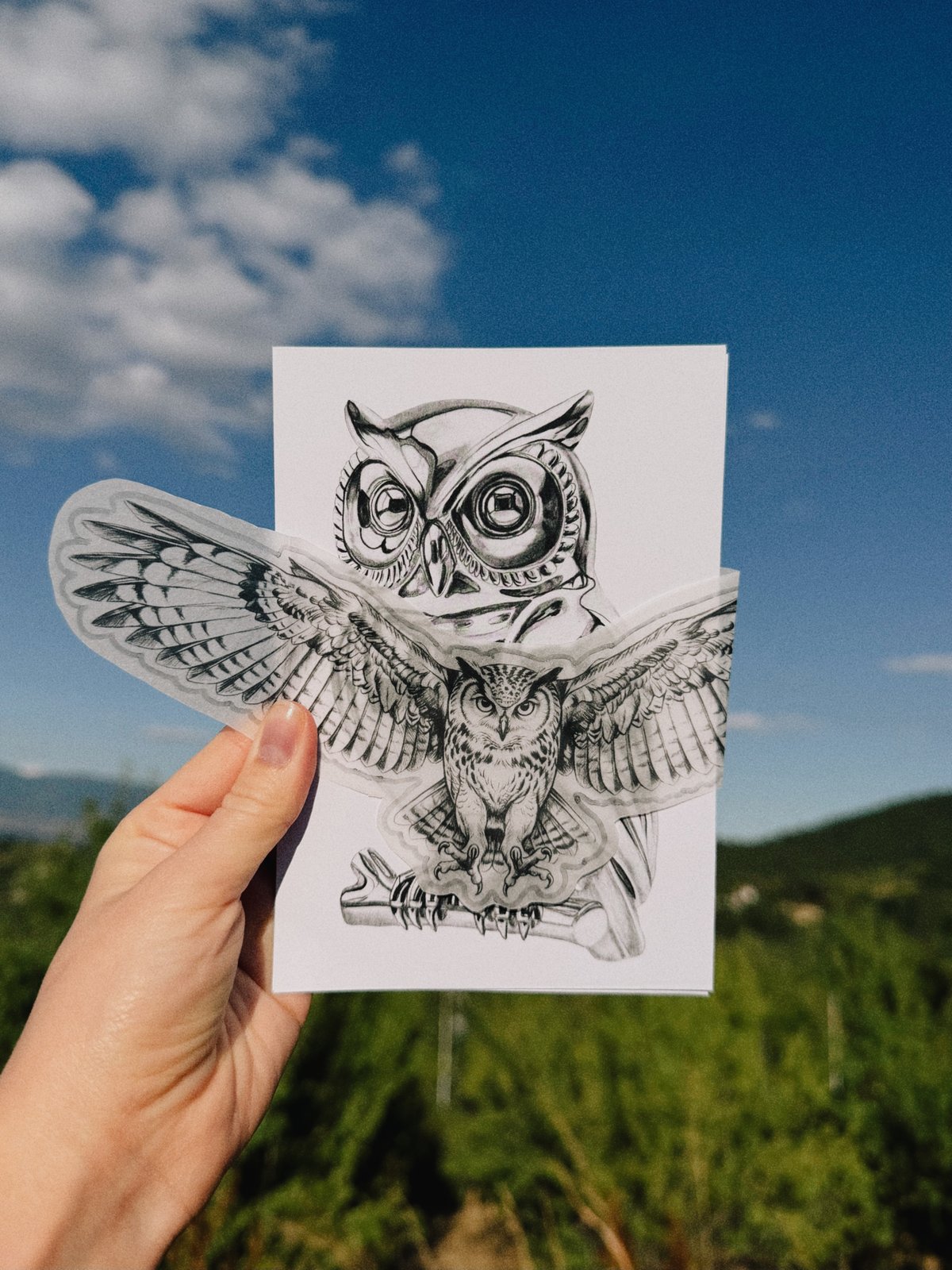 Owl collection, hand holding the owl print against a blue sky with the transparent flying owl sticker laid over it