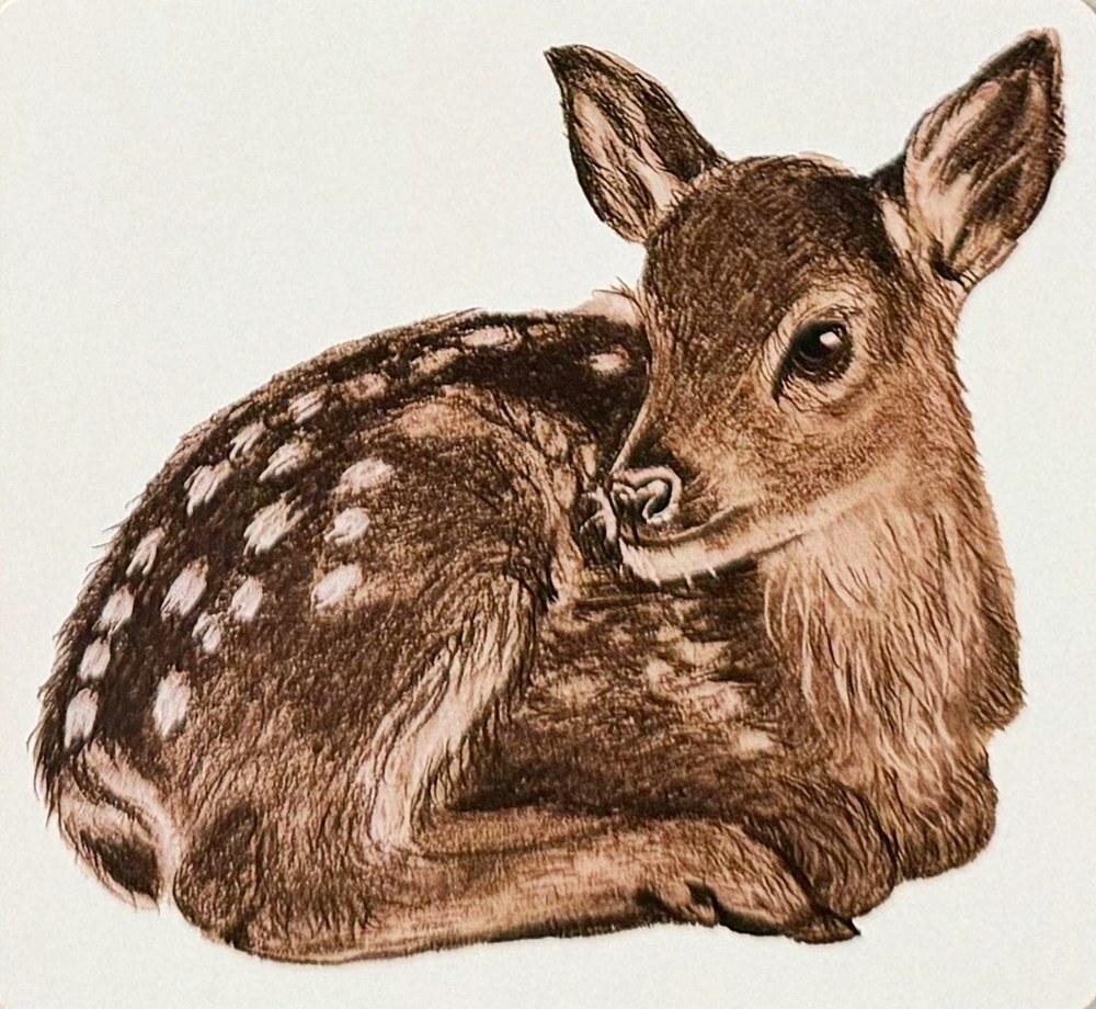 Small print of a fawn lying down