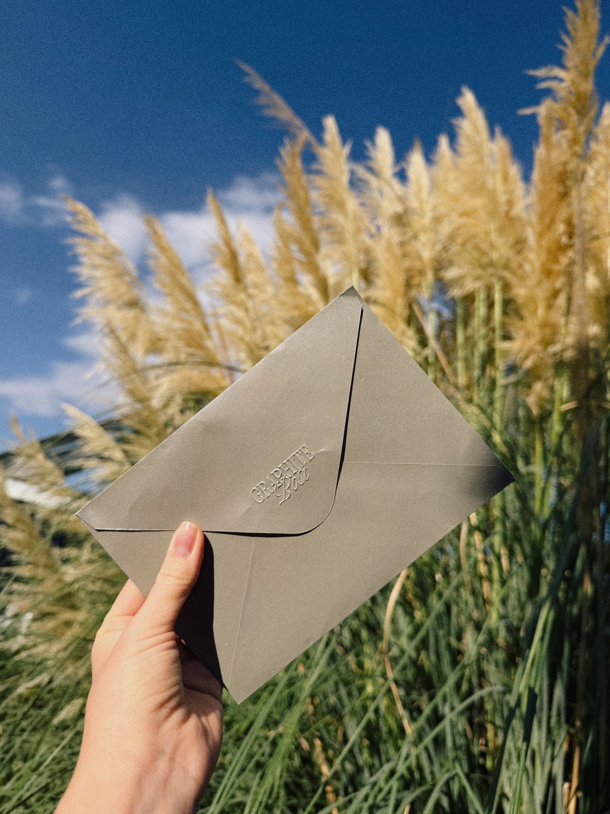 Owl collection, hand holding the closed envelope with its logo embossed on the flap, in front of pampas grass