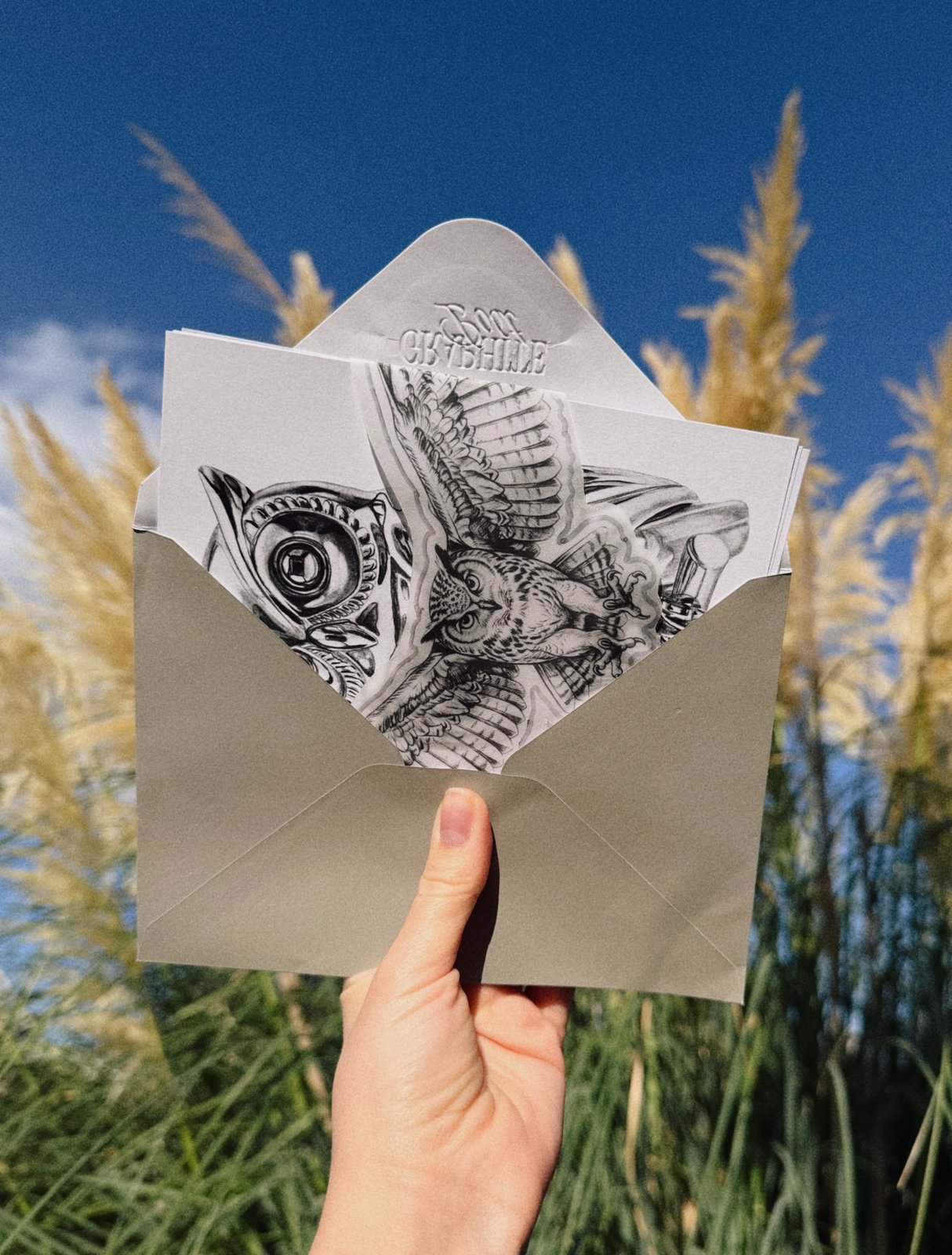 Owl collection, hand holding an open envelope with the owl print inside, in front of pampas grass
