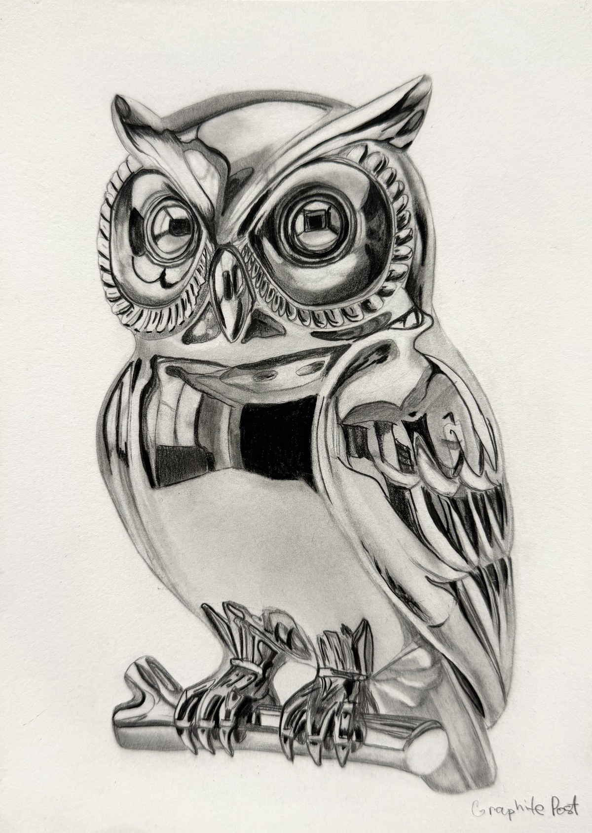 Owl, graphite drawing on paper